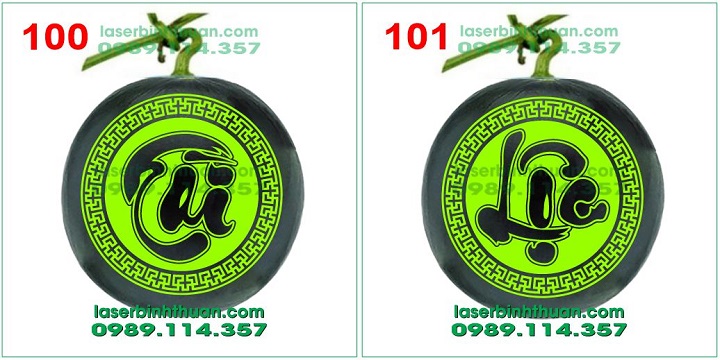 cap dua hau 100-101