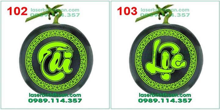 cap dua hau 102-103