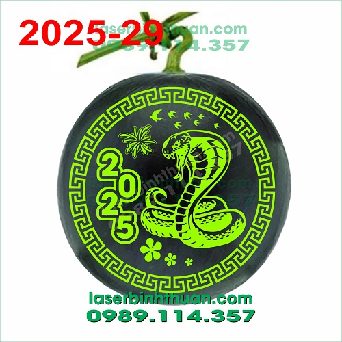 File Khắc Dưa Hấu 2025 Mẫu 29 - Con Rắn Ất Tỵ 2 File khac dua hau 2025 mau 29 demo