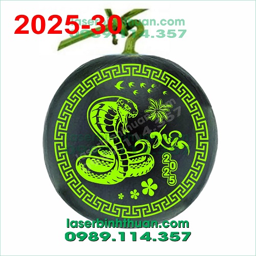 File Khắc Dưa Hấu 2025 Mẫu 30 - Con Rắn Ất Tỵ 2 File khac dua hau 2025 mau 30 demo